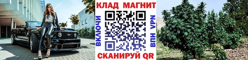 Где найти наркотики Самара МДМА  Конопля  Меф  ГАШИШ  Кокаин 