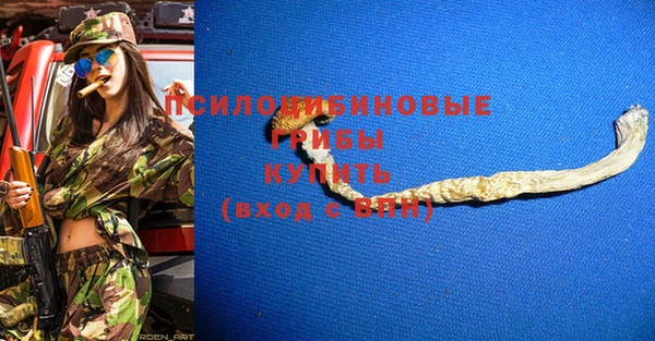 гидропоника Карпинск