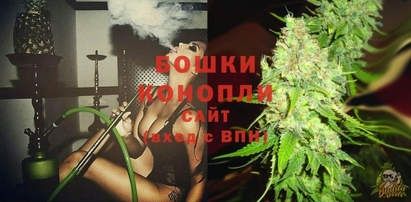гидропоника Карпинск