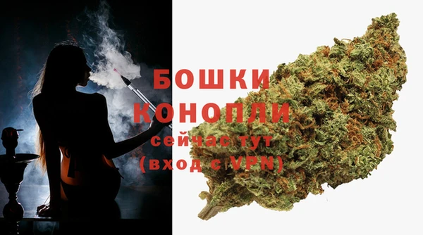 гидропоника Карпинск