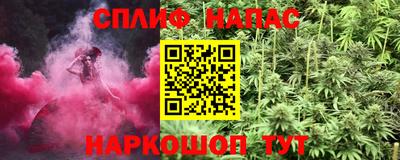 ГАЛЛЮЦИНОГЕННЫЕ ГРИБЫ Новозыбков