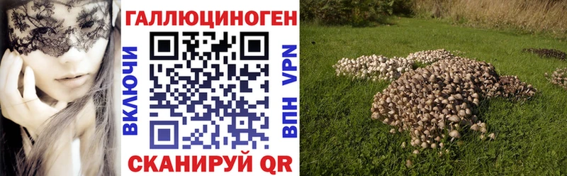Псилоцибиновые грибы Psilocybe цены Самара
